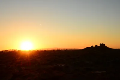 DSC_1463 (Large).JPG